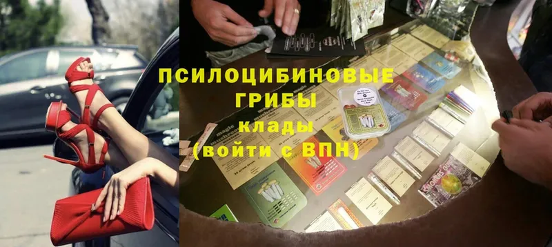 сайты даркнета официальный сайт  Плавск  Псилоцибиновые грибы прущие грибы  купить наркоту 